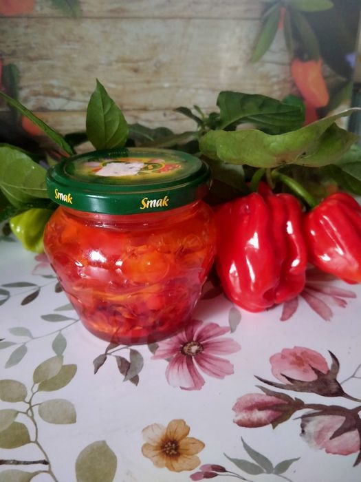 Habanero w oleju