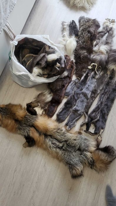 Цілий пакет з обробленими шкурами тварин. Хутро