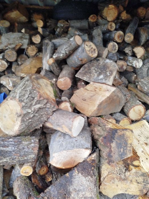 Drewno kominkowe mieszanka liściasta