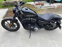 Harley Davidson sportster 883 Iron 2021