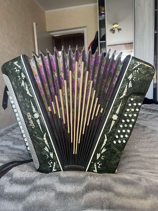 Гитара Трембита,  и гармонь  Беларусь и Маричка.