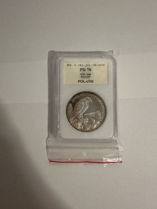 Moneta 20 zł PR70 Sokół Wędrowny Falco peregrinus 2008