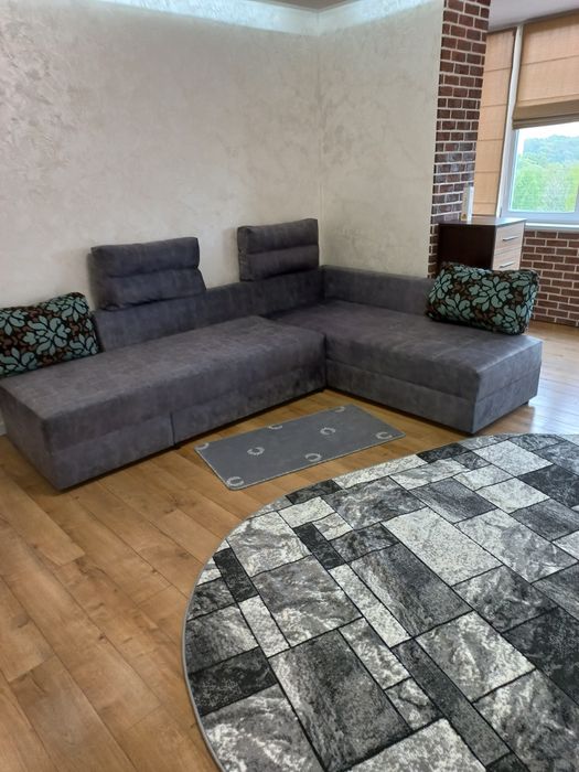 Власник .Величковського(Шевченка) Рясне 2