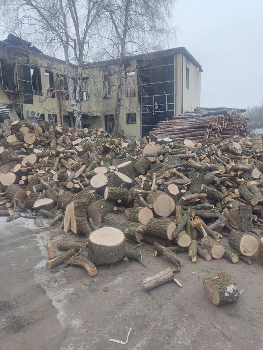 Дрова твердых пород