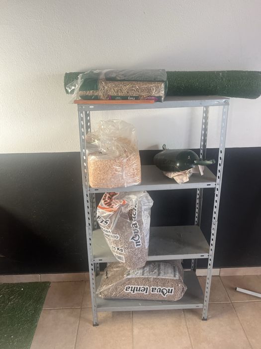 Coelhos anões (femea e macho) lindos e registados