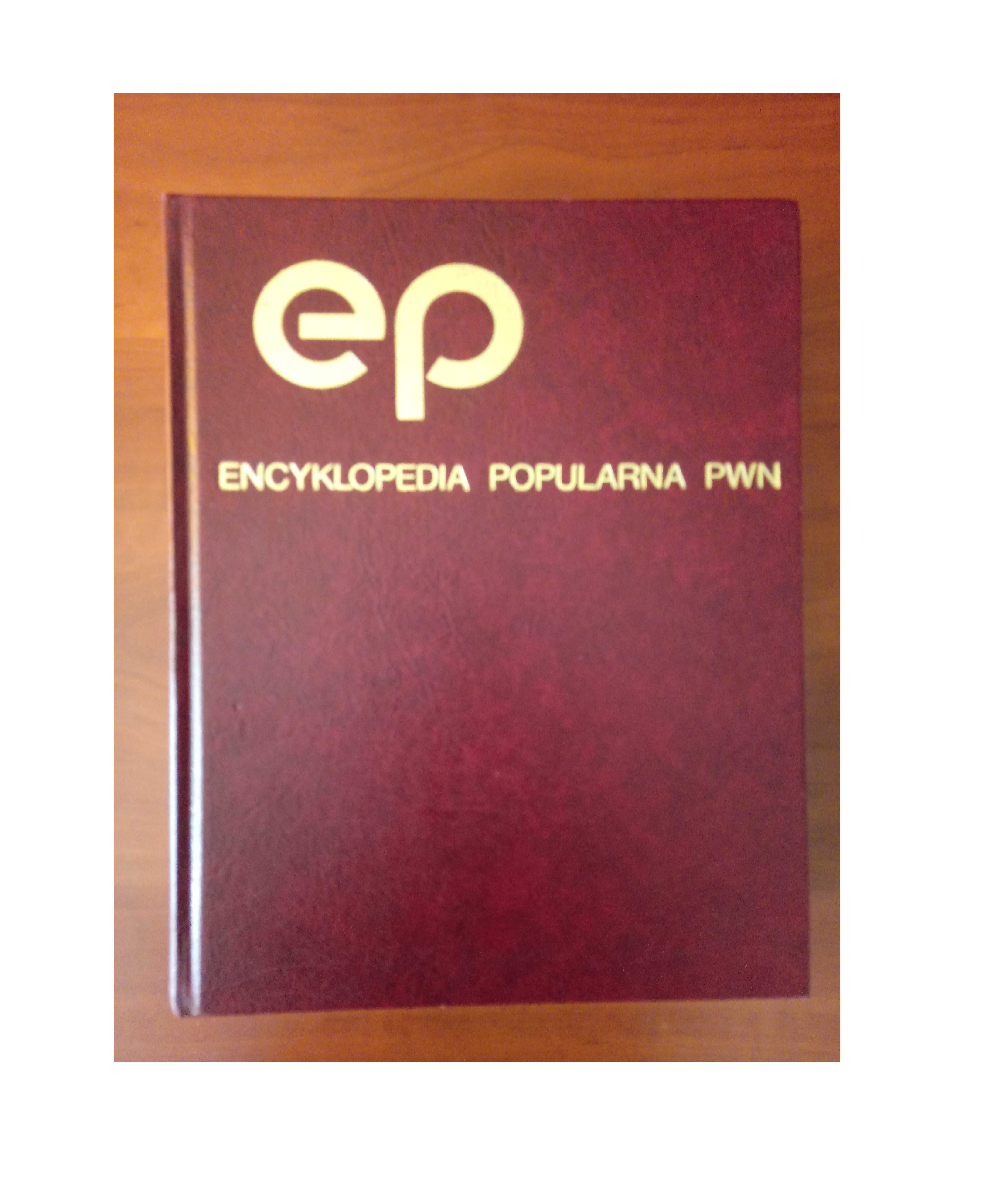 Encyklopedia popularna PWN Praca zbiorowa