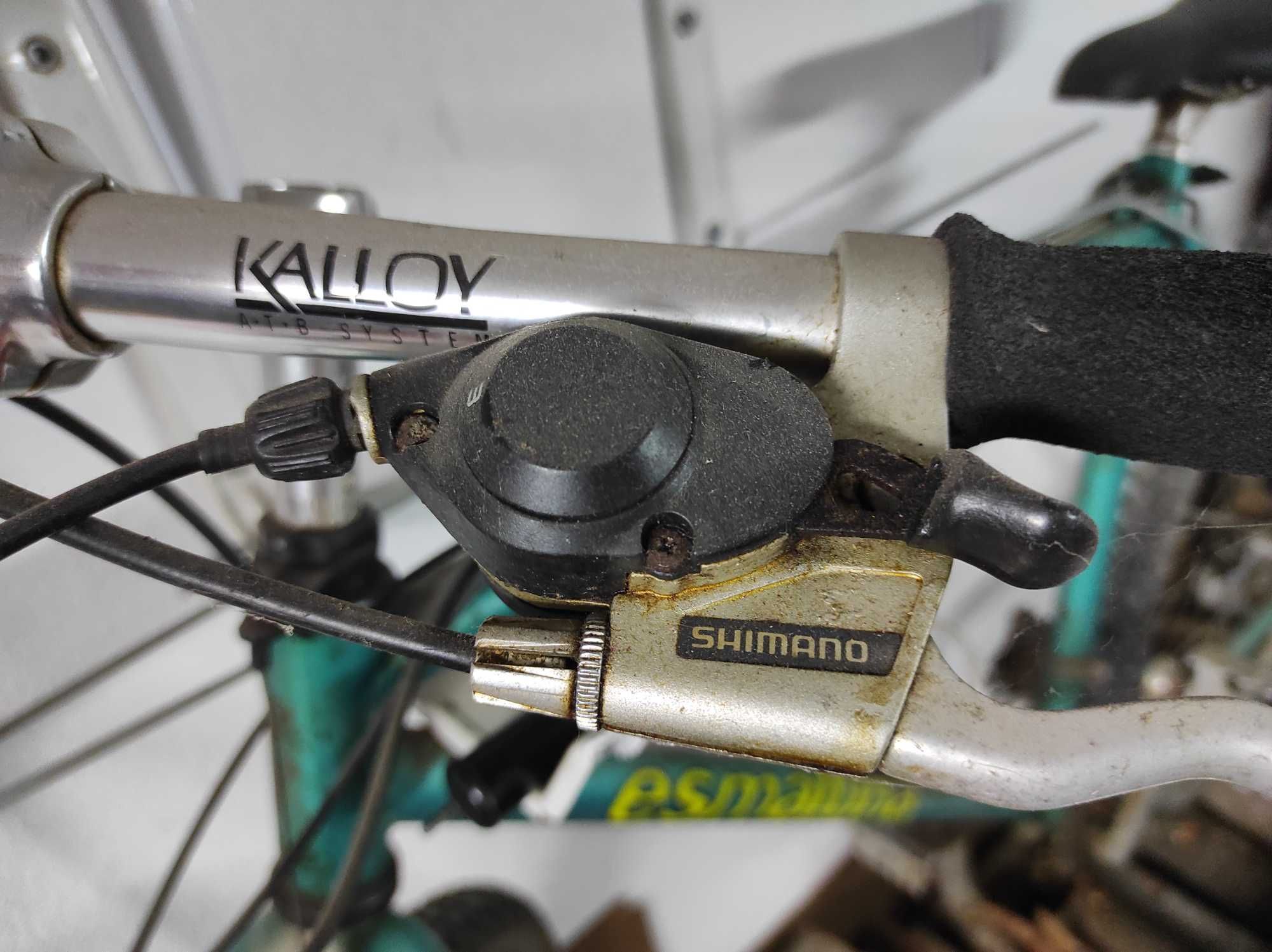 Bicicleta Esmaltina