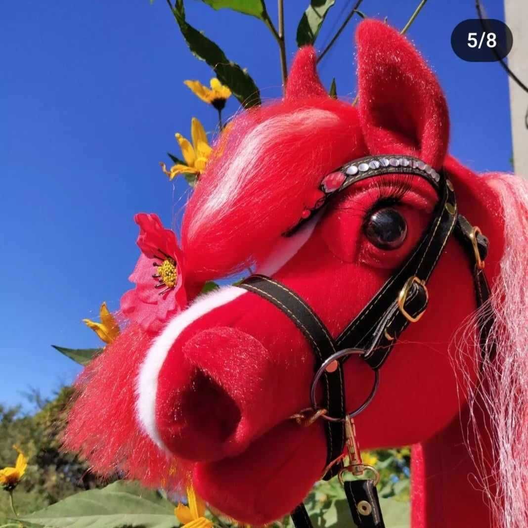 Piękny hobby horse (Playful horses - PFH)