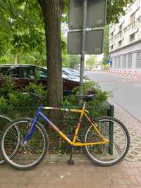 mountain bike, yellow and blue