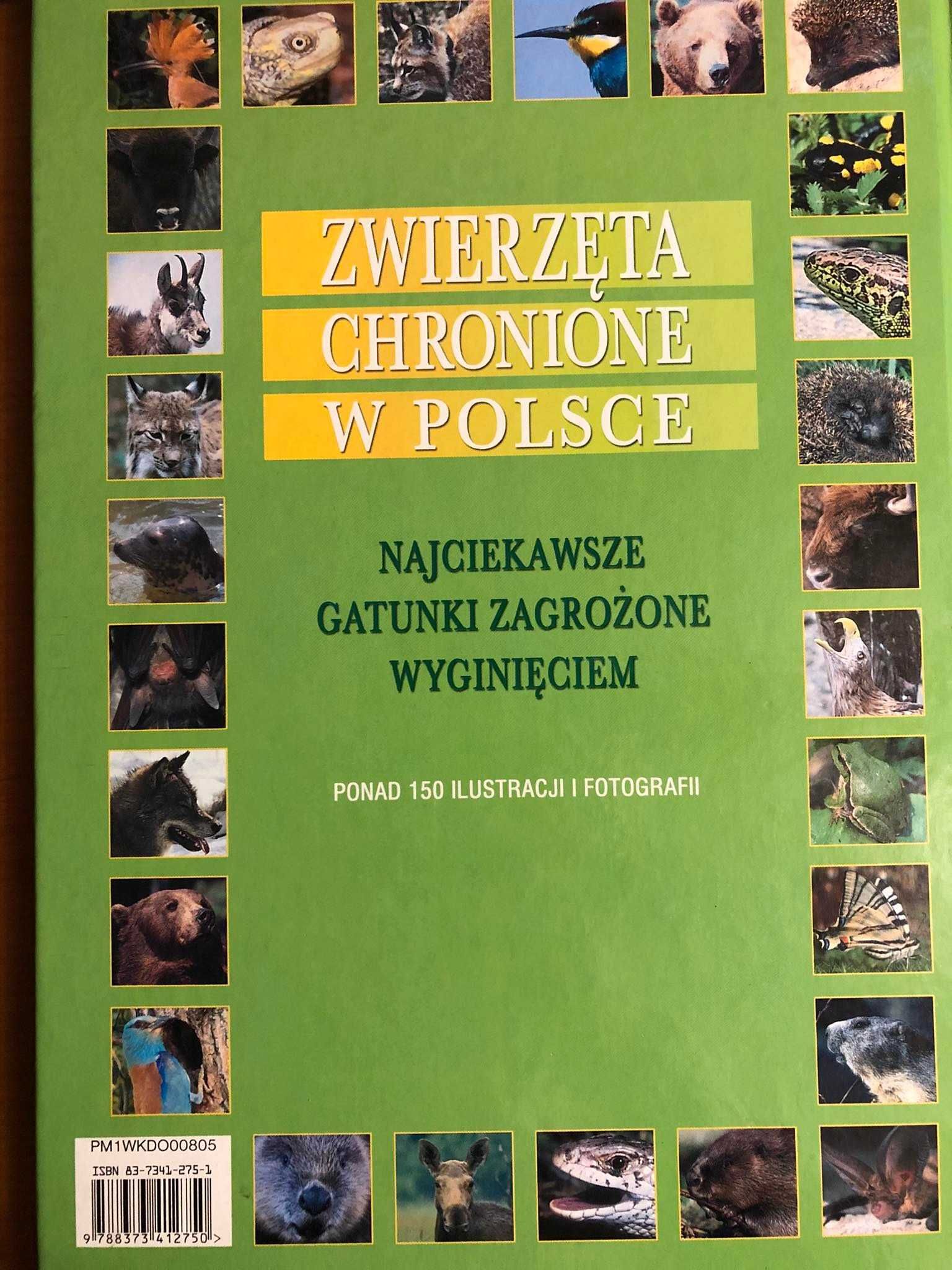 Zwierzęta chronione w Polsce - Paweł Czapczyk