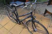 Rower damski GUDEREIT Fantasy Clasic Cityline