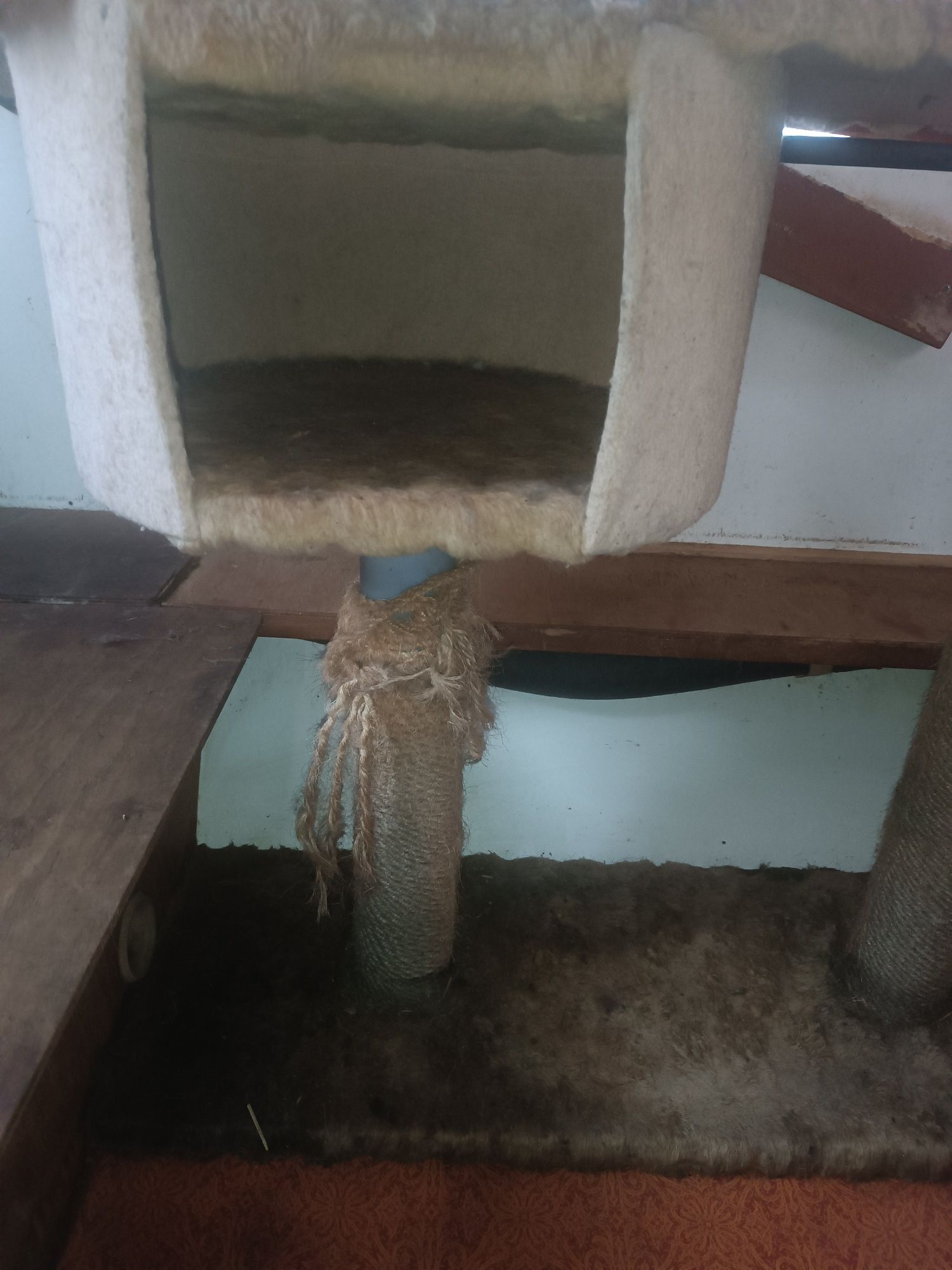 Drapak dla kota symbolicznie oddam