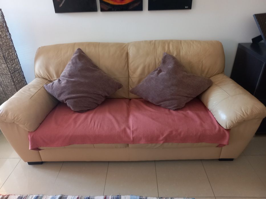 Sofás usados em pele