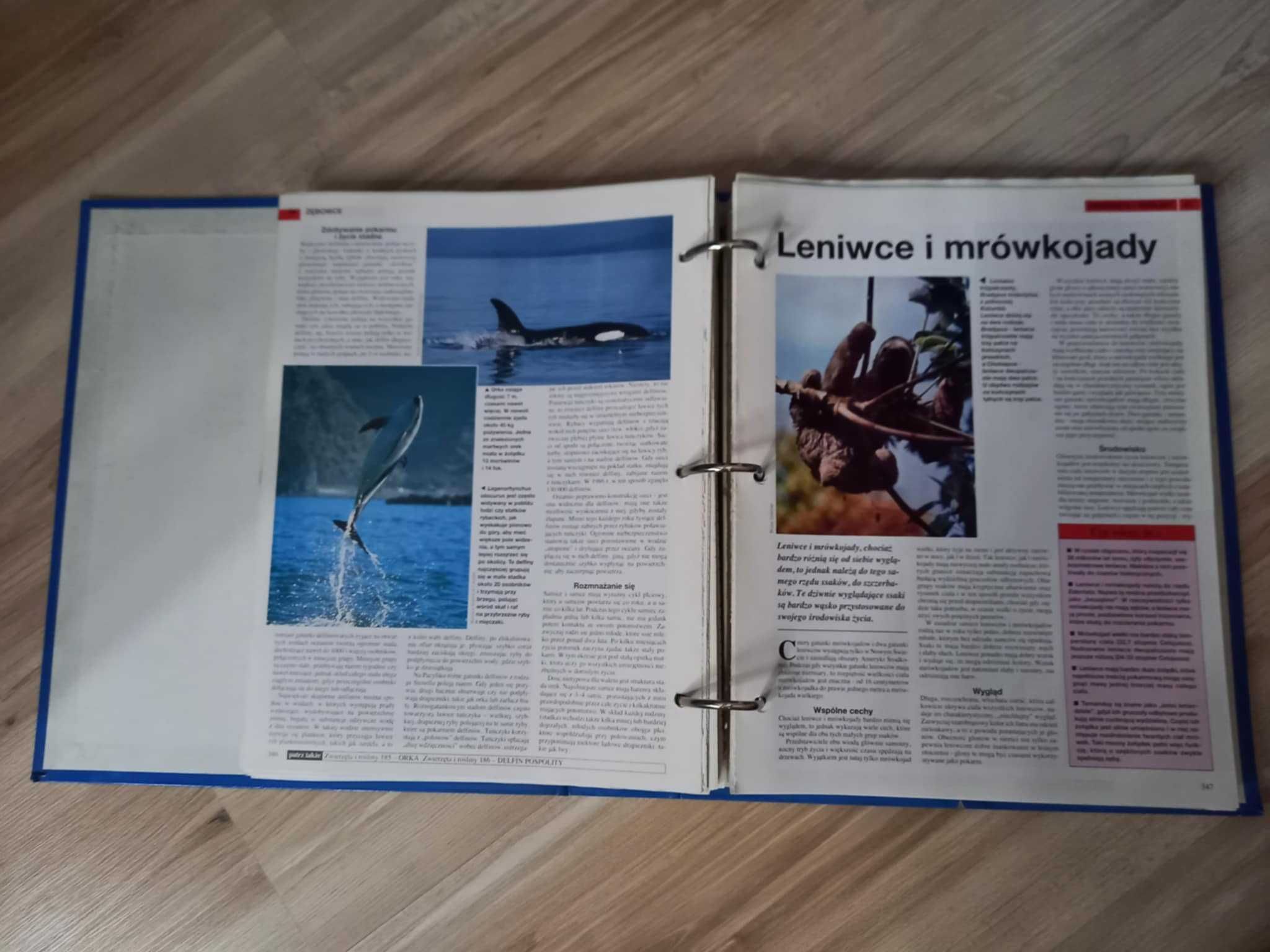 Pełny zestaw - kolekcja - Świat Wiedzy z segregatorami + 4 dodatki