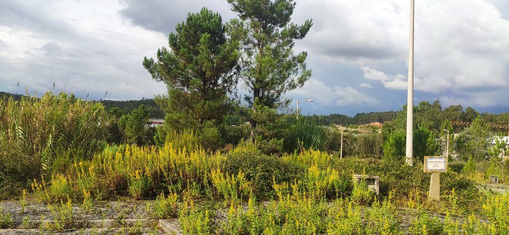 Lote construção - Pombal