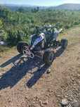 Polaris Predator 500