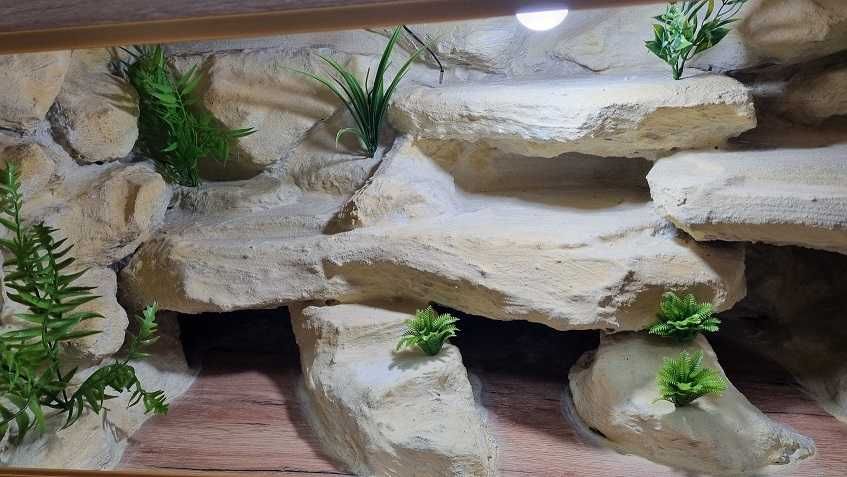Terrarium  gotowe  dla agamy , gekona ,jaszczurki 100x50x50