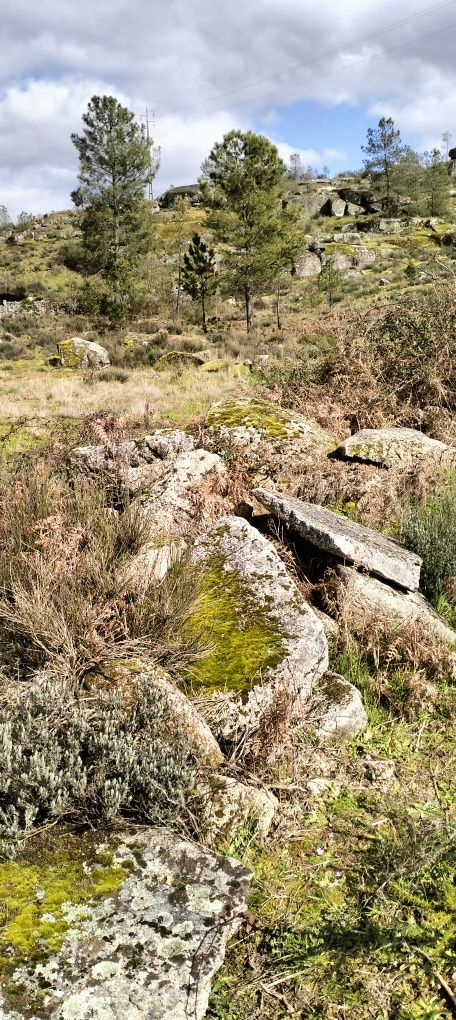 Terreno Urbano para venda Perto Serra da Estrela