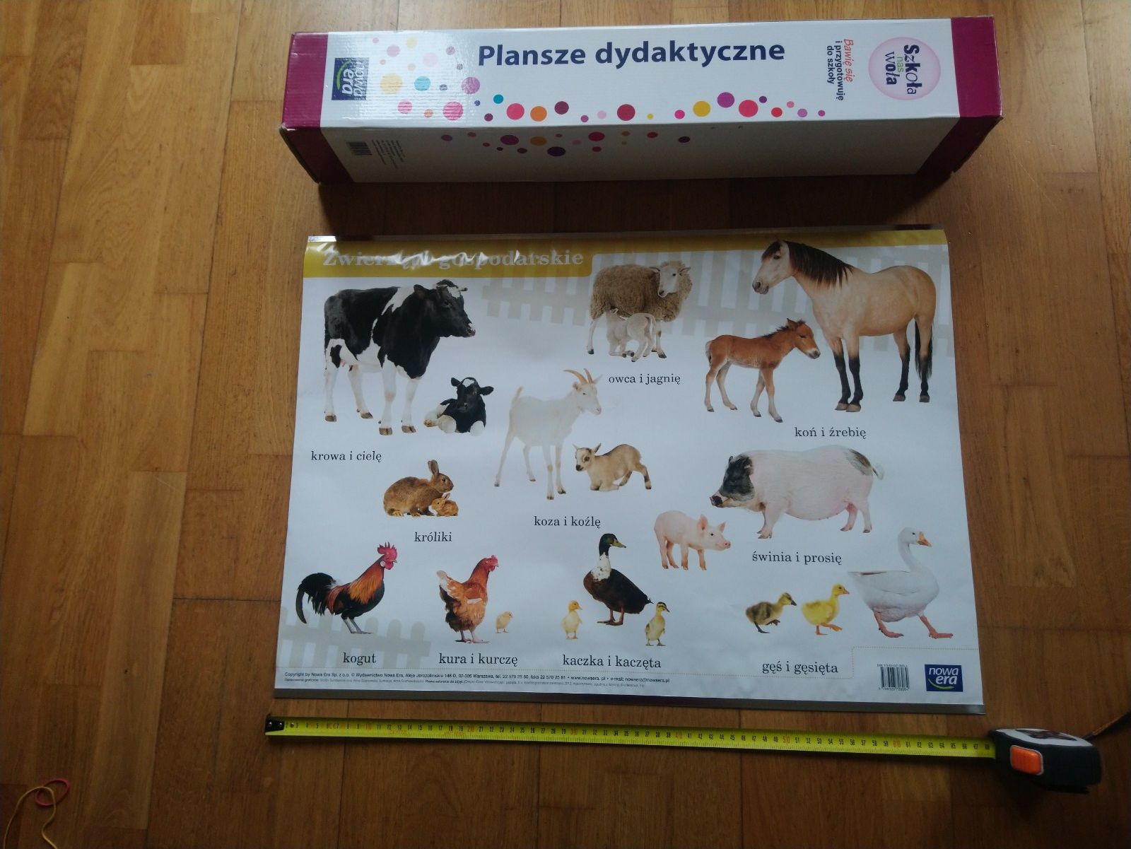 Duże plansze dydaktyczne do zerówki Nowa Era