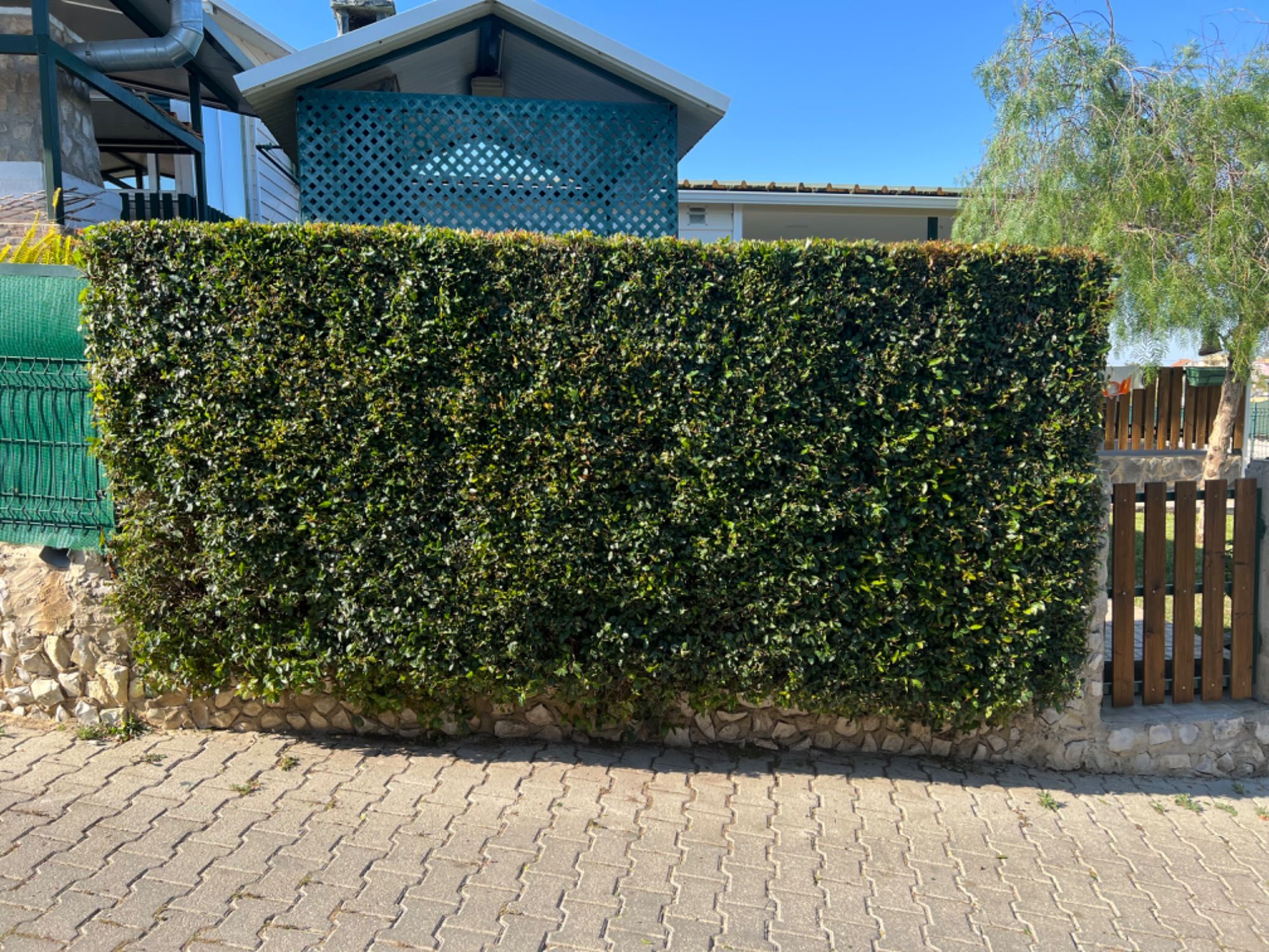 Vende-se Residencial T2 +1 mobilado no Parque Verde
