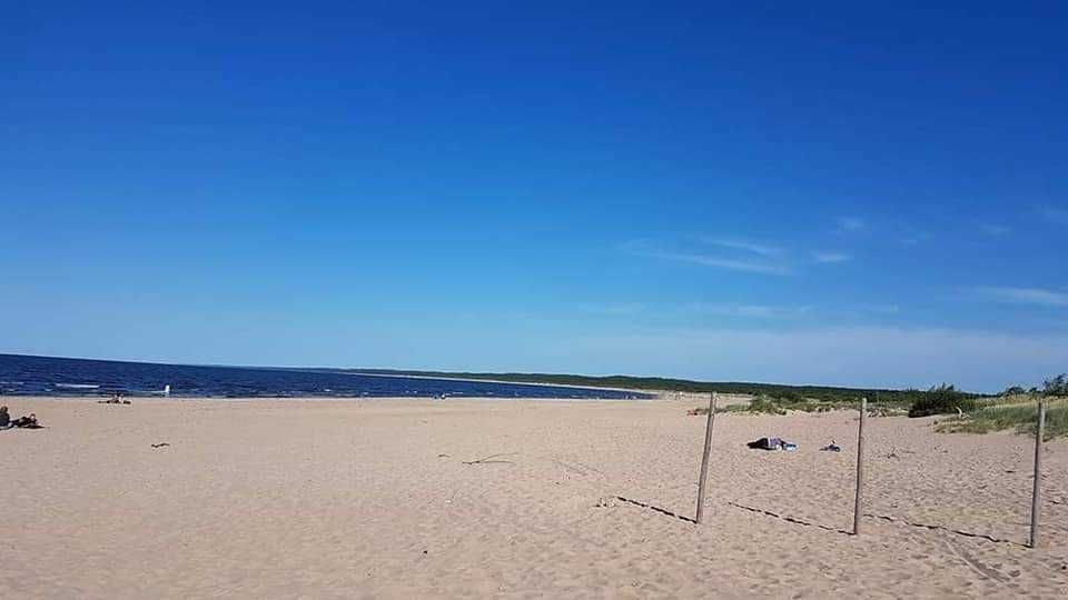 DOMKI LETNISKOWE MIKOSZEWO (GM. STEGNA) wakacje wypoczynek Mierzeja