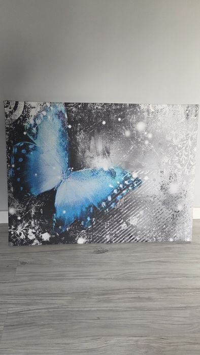 Duży obraz z motylkiem niebieskim