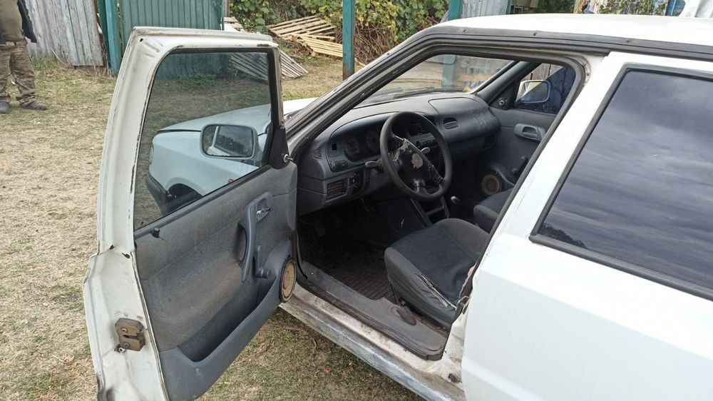 Шкода авто гарне