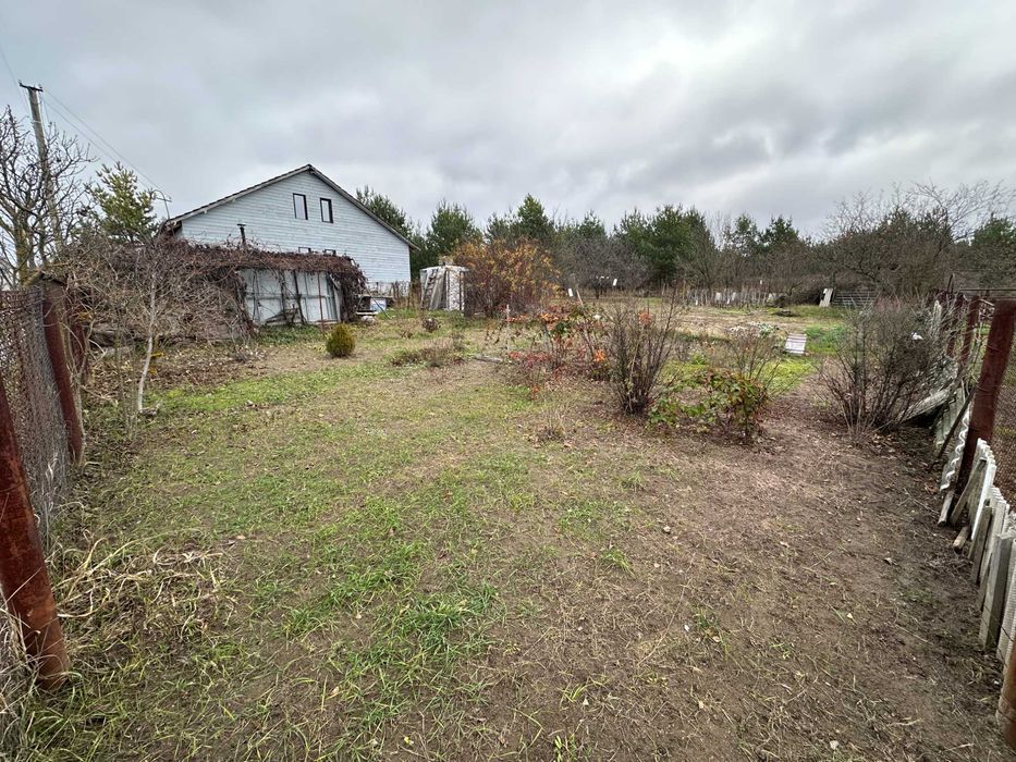 Липовий Скиток продаж 6 соток Забір'я