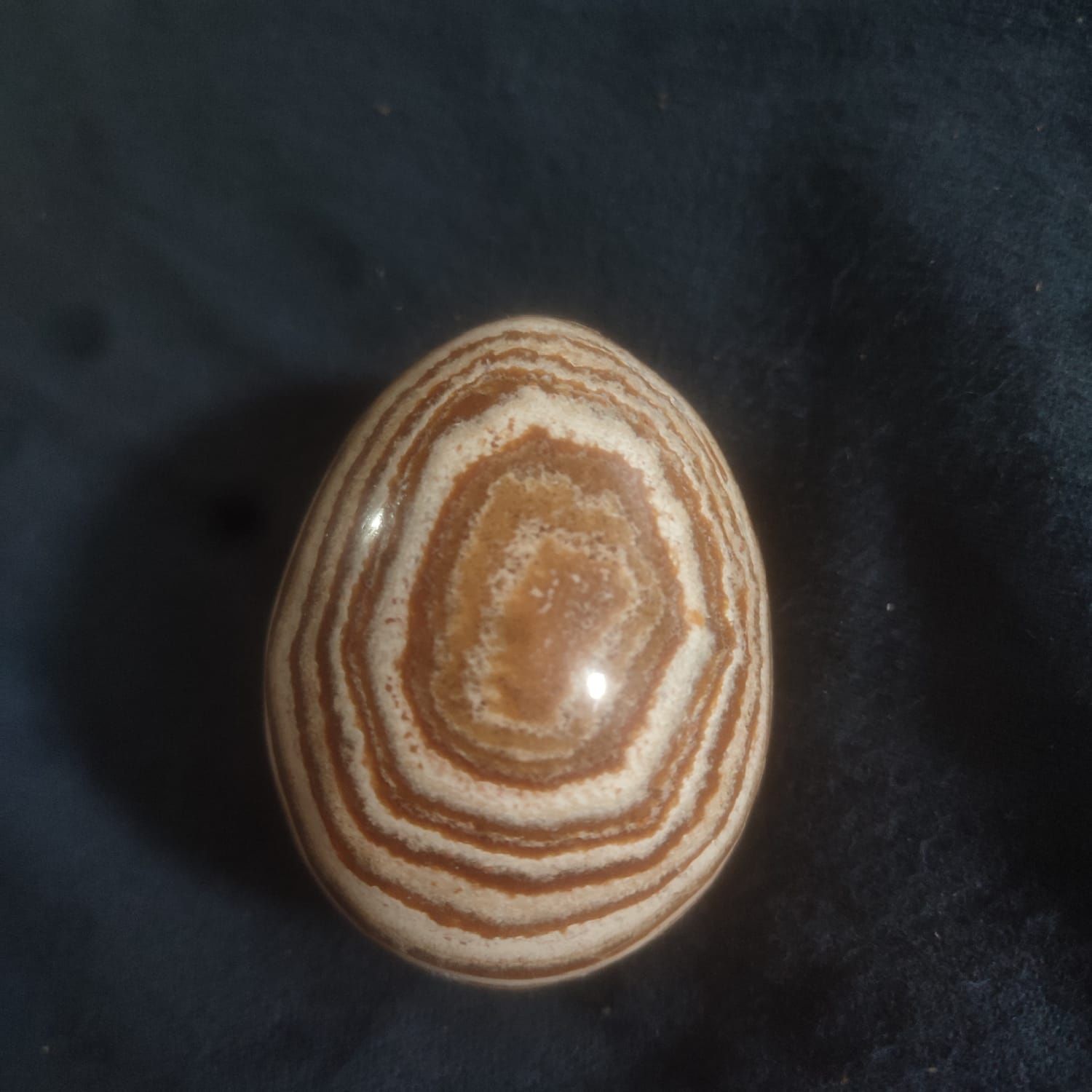 Ovo (de costura)