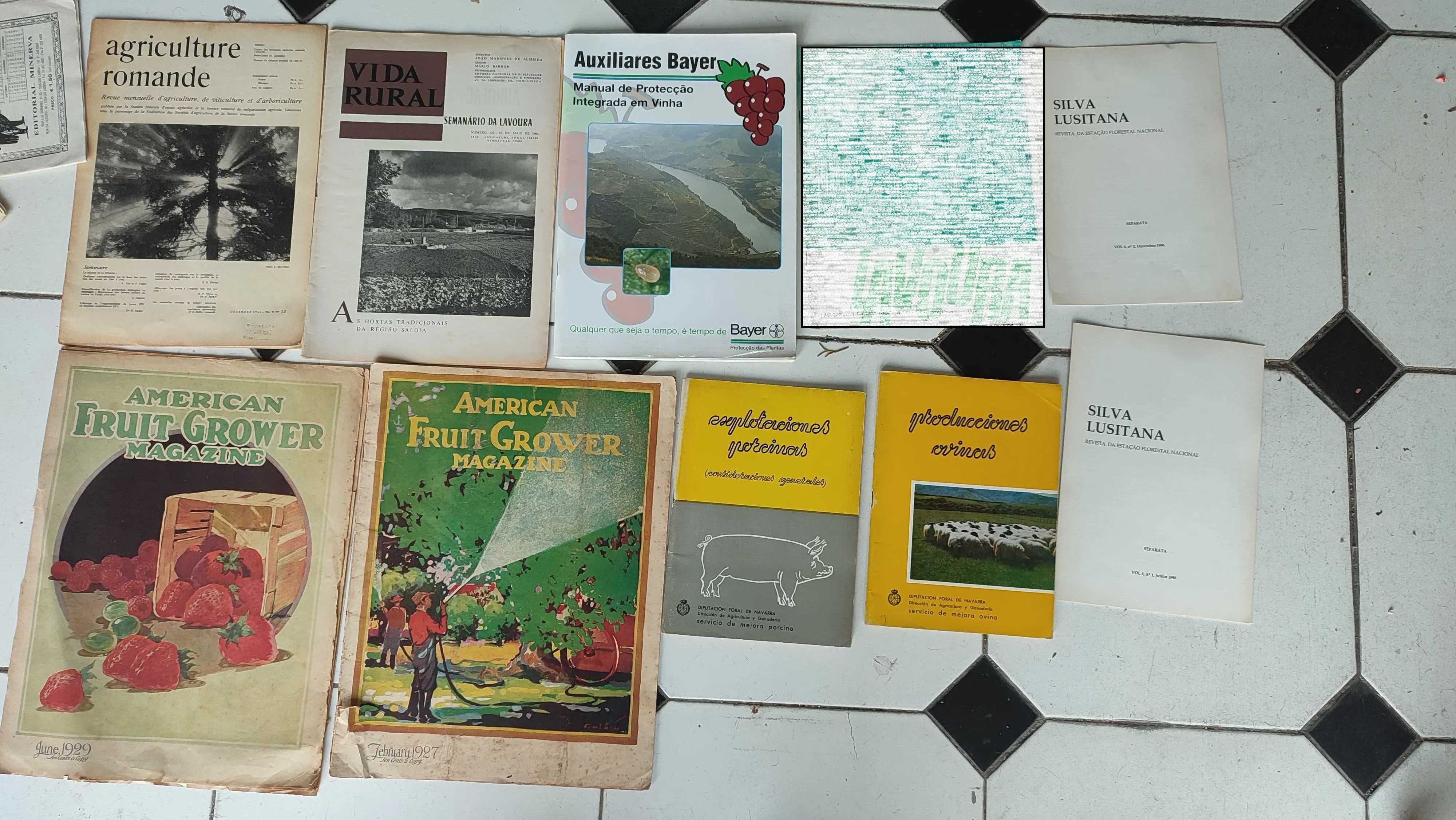 Lote 94 Publicações Diversas sobre Agricultura e Pecuária