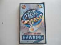 A Chave secreta para o Universo de Lucy e Stephen Hawking