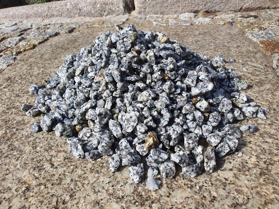 Grys granitowy dalmatyńczyk 8 16 kamyk