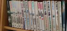Robert Ludlum seria jego twórczości sensacyjnej