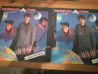 Thompson  Twins - Into The Gap LP