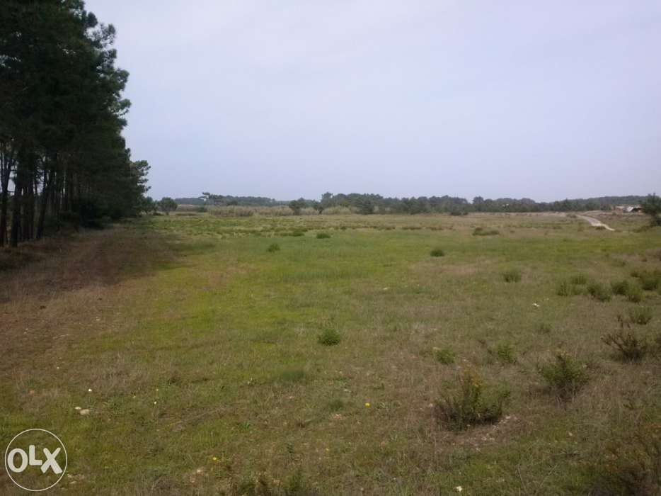 Arrenda-se terreno na Costa Vicentina - Aljezur