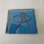 CD-Peter Green-Splinter Group