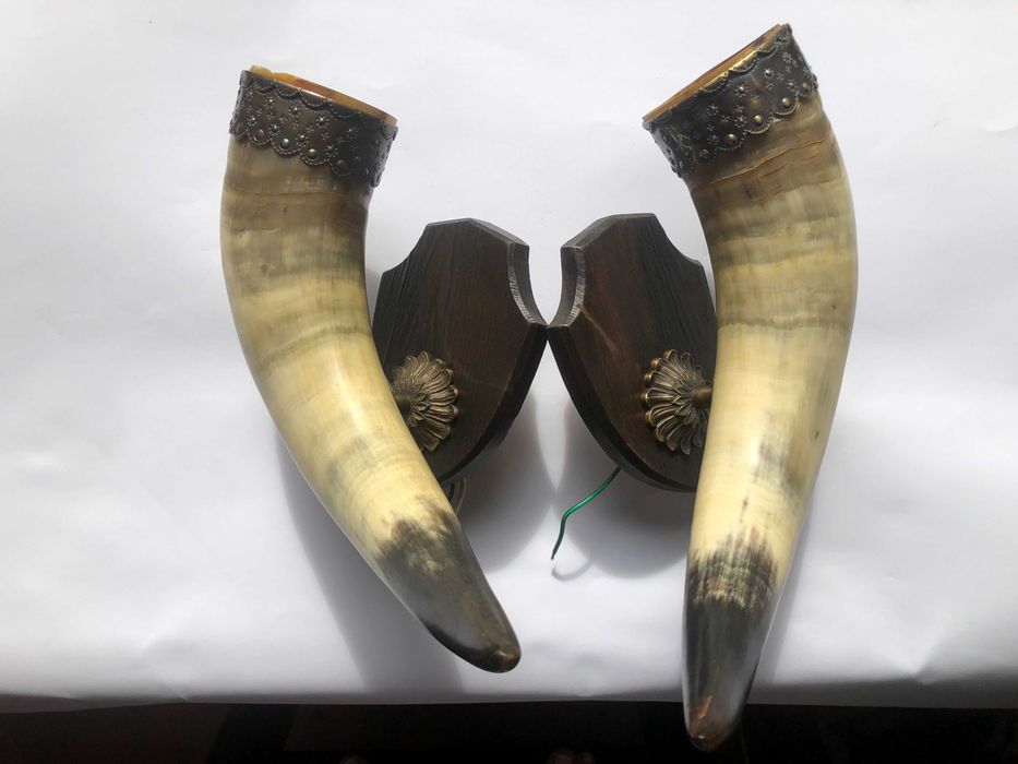 Kinkiety z rogów bawolich – komplet dekoracyjny, vintage