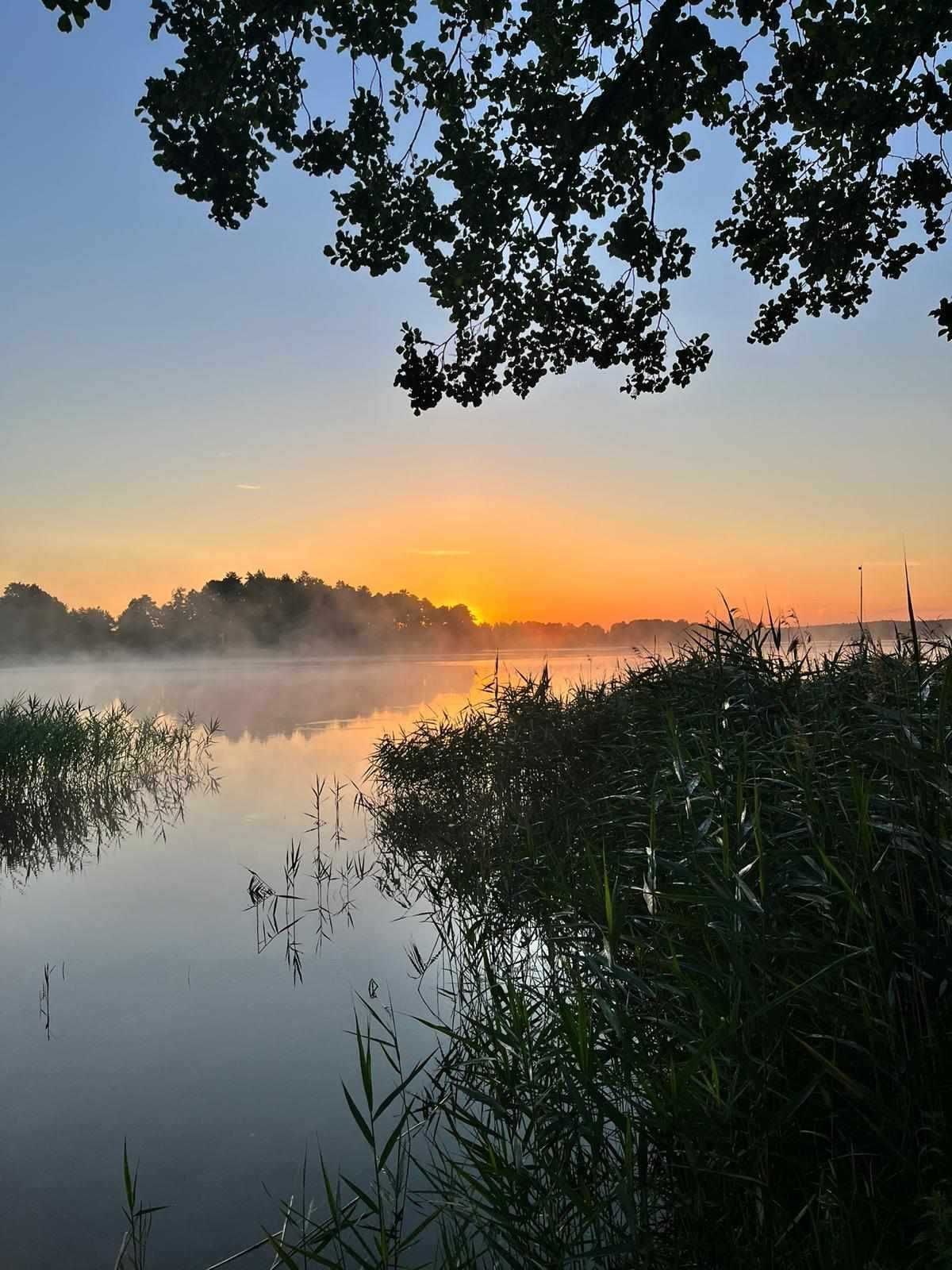 Domek nad jeziorem, Wikno