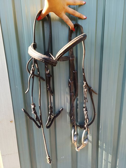 Suadouros e cabeçadas equitação