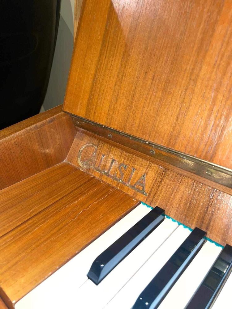 Pianino Calisia M-105