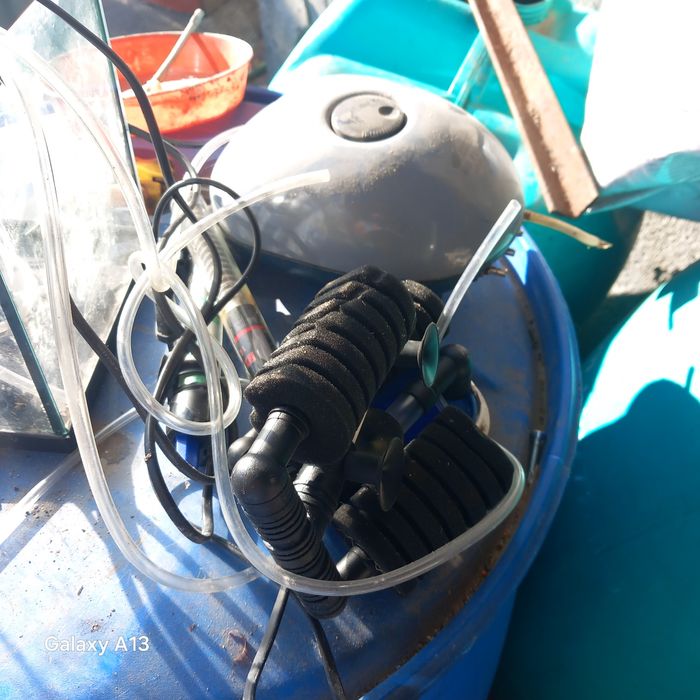 Aquario para peixes