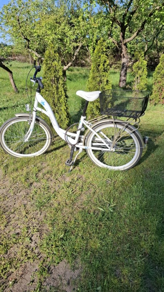 Rower vittoria 24