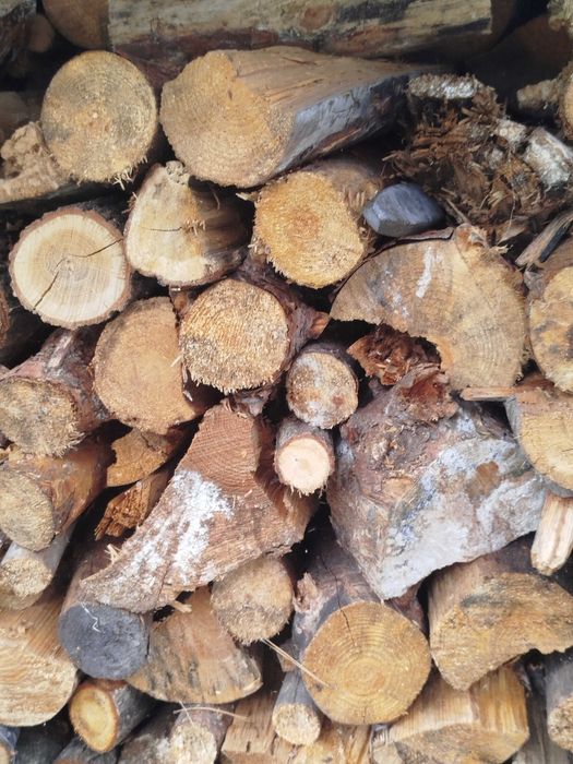 Drzewo opałowe(sezonowane)