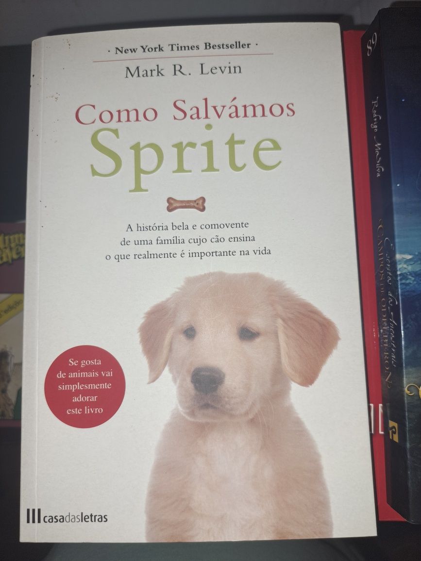 Livro " Como sálvamos Sprite"