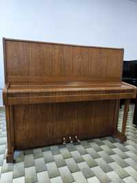 Piano Petrof P125