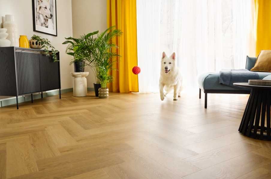 Dąb Menor CAS 223 Klasa 33 5 Amaron Herringbone EIR Arbiton HIT CENOWY