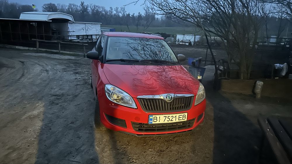 Шкода фабія на гузу