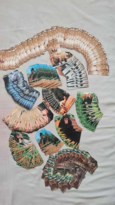 Karty telefoniczne magnetyczne zwierzaki