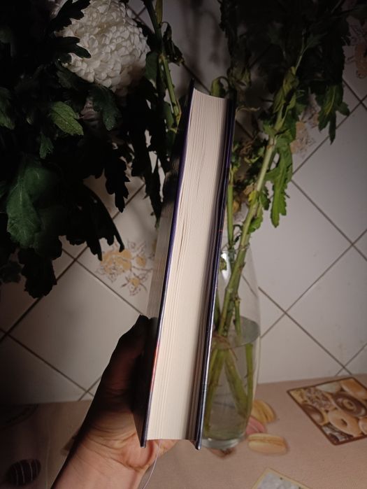 Влад Нед Кінотеатр Космос