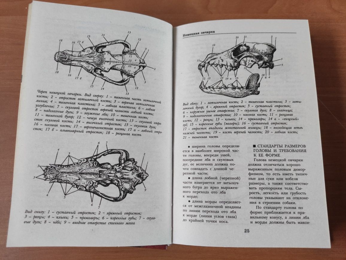 Немецкая овчарка Фролова